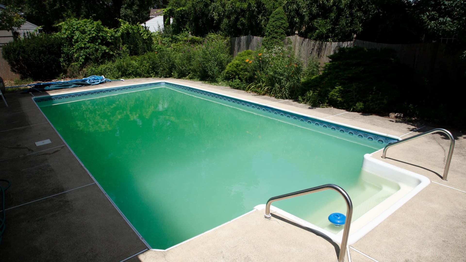 Alghe in piscina: acqua verdognola