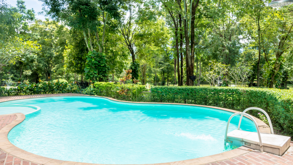 Vegetazione piscina interrata ideale