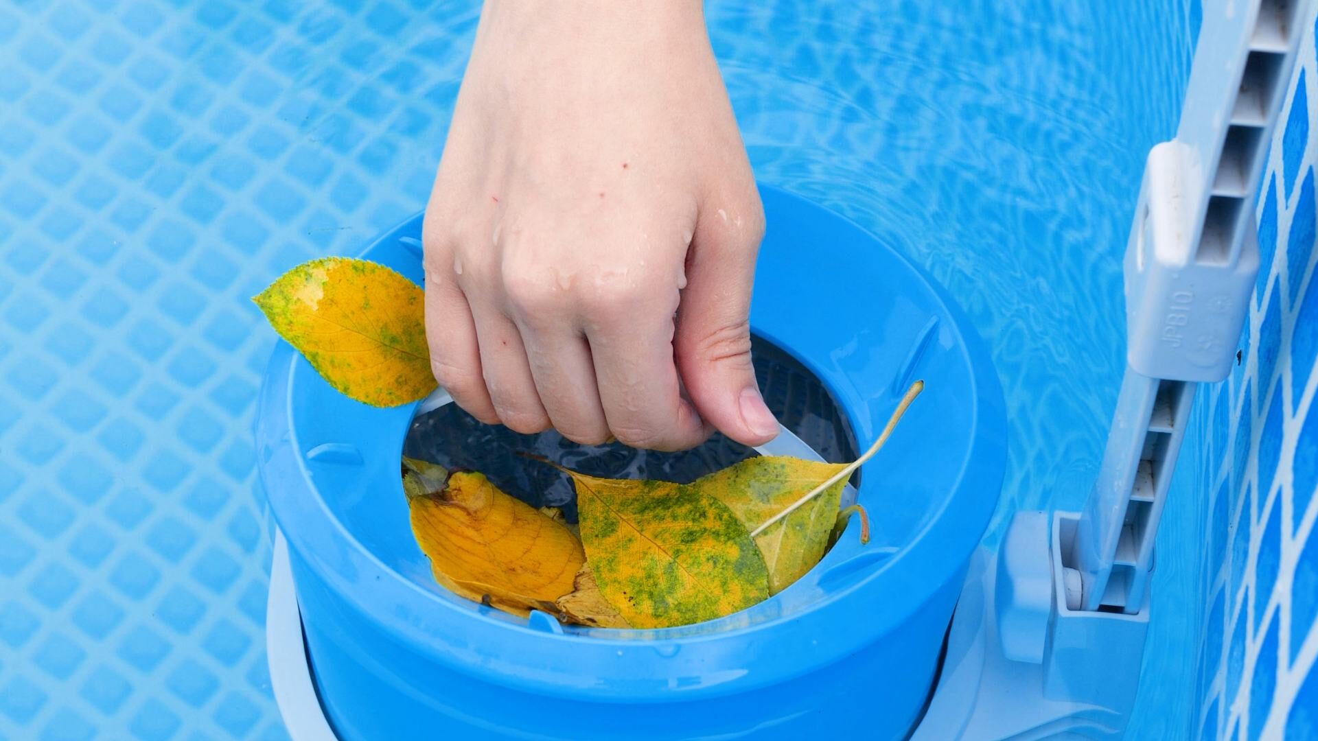 Come pulire la piscina dopo l'inverno: rimuovere le foglie dal filtro