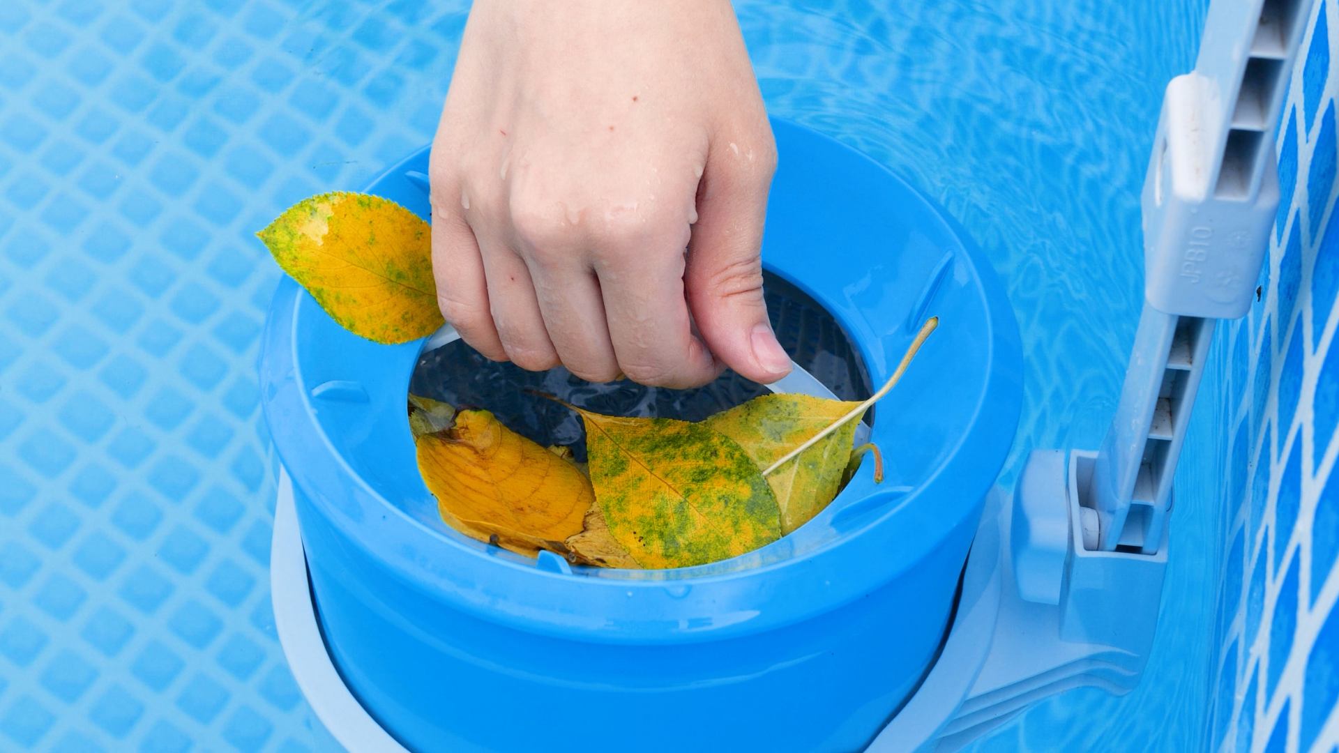 Rimozione foglie dalla piscina