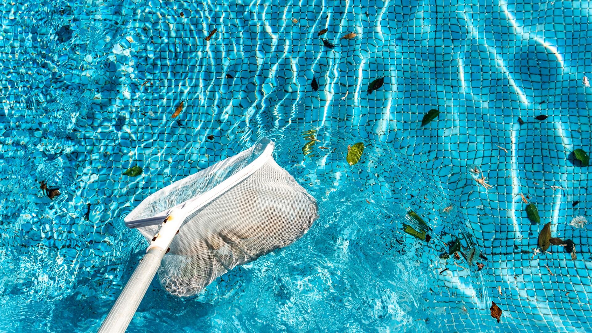 Retino per rimozione foglie dalla piscina